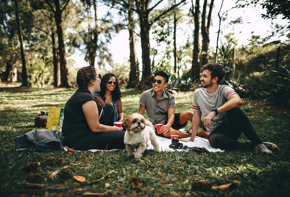 Building Friendships Across Different Cultures & Backgrounds